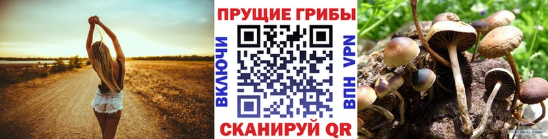 Псилоцибиновые грибы прущие грибы  Бирюсинск 